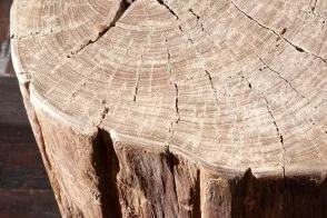 Log Stool 2