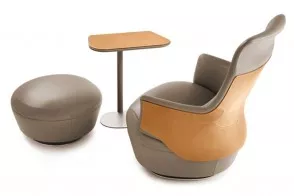 Assaya Armchair 2