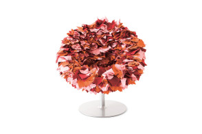 Poltroncina Bouquet Moroso - 1