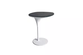 Bloomy Low Table