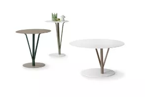 Kadou Coffee Low Table