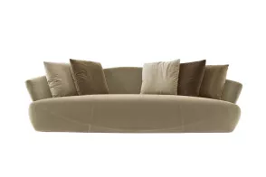Solemyidae Sofa 2