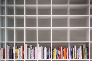 Bookshelf Bookcase 2